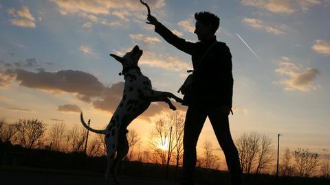 Silhouette eines Hundes und einer Frau im Sonnenuntergang im Park