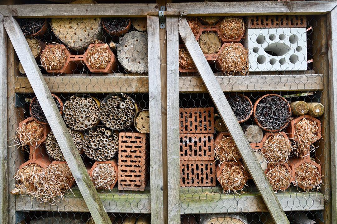 Ein Insektenhotel