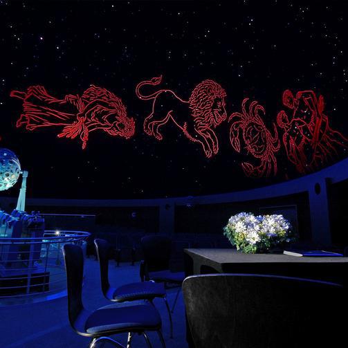 Das Bild zeigt eine Innenaufnahme des Trauzimmers Sternenhimmel.