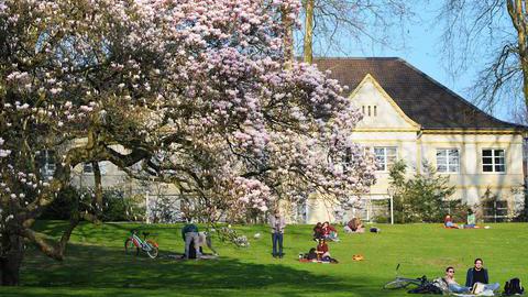 Frühling am im Bochumer Stadtpark: Blühende Bäume