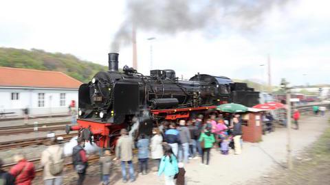 Historische Dampflokomotiven beim Museumstag im Eisenbahnmuseum in Bochum-Dahlhausen