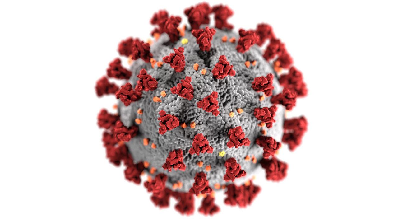 Corona Virus Alle Wichtigen Infos Auf Einen Blick Stadt Bochum