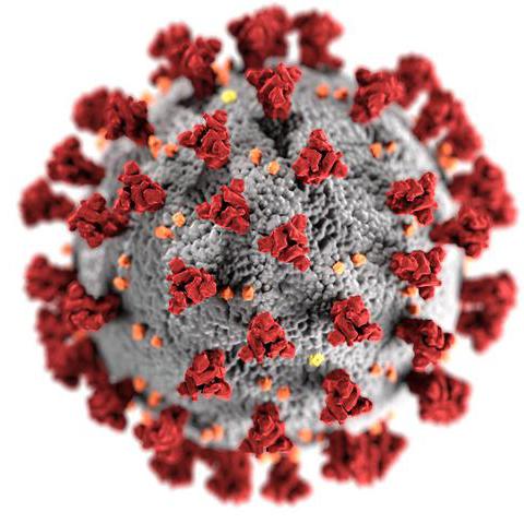 Mikroskopische 3D Aufnahme des Corona-Virus