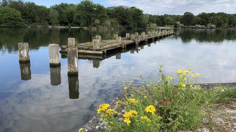Blick auf den Ümminger See