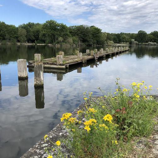 Blick auf den Ümminger See