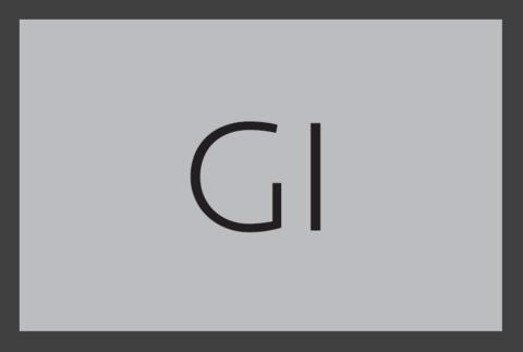 Kennzeichnung für "Industriegebiet" in Großbuchstaben "GI"