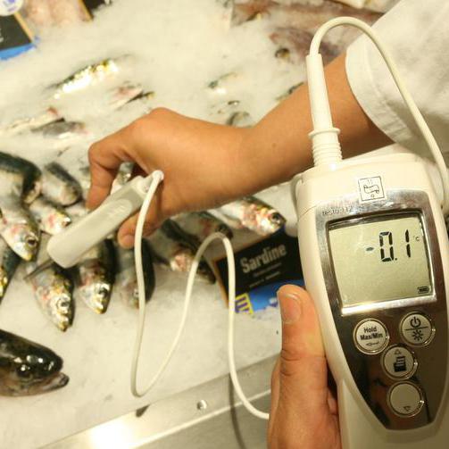 Ein Testgerät misst die Temperatur von Fisch in der Frischetheke eines Supermarktes