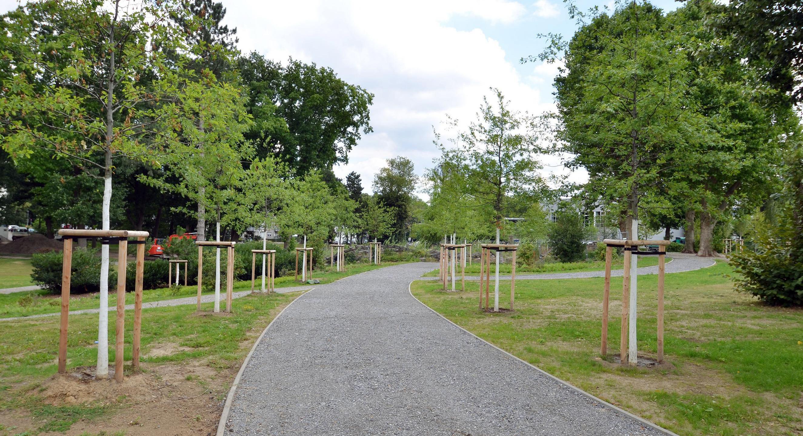 Junge Bäume in einem Wattenscheider Park
