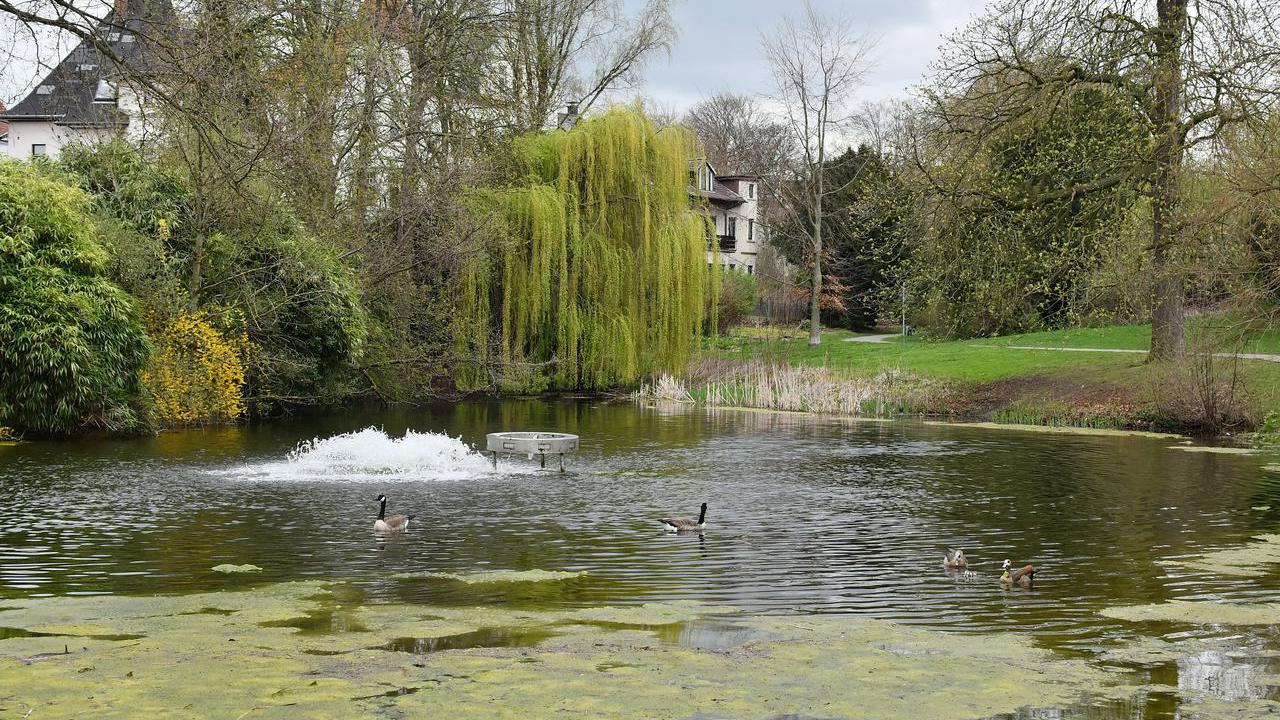 Der Park Werne in Bochum