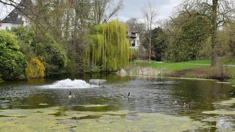 Der Park Werne in Bochum