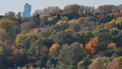 Herbst in Bochum: Bunt verfärbte Bäume und links im Bild das Exzenterhaus.