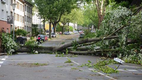 Schäden nach dem Unwetter im Bochumer Stadtgebiet am 10. Juni 2014. Bergstraße, umgefallene Bäume und geschädigte Autos.