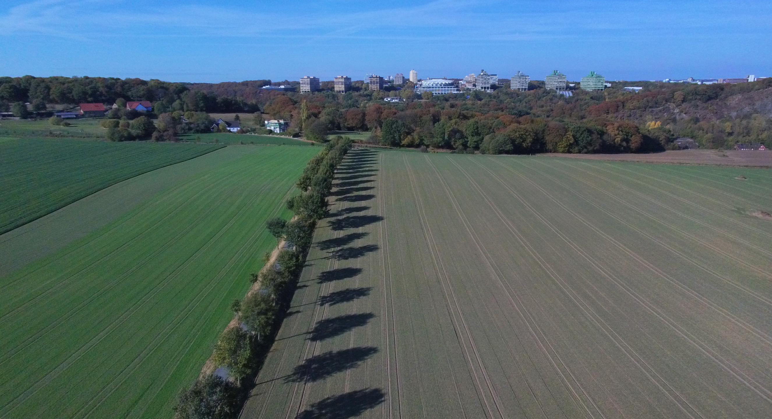 Bäume und Felder im Bochumer Süden - in Hintergrund ist die Ruhr-Universität Bochum