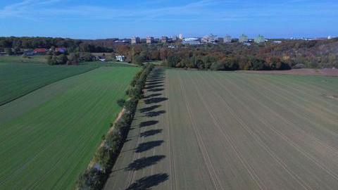 Bäume und Felder im Bochumer Süden - in Hintergrund ist die Ruhr-Universität Bochum