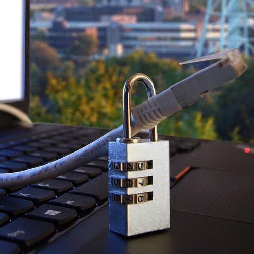 Ein Laptop mit Logo und Datenkabel in einem Vorhängeschloss - Fotomontage als Illustration zum Thema Cybersicherheit