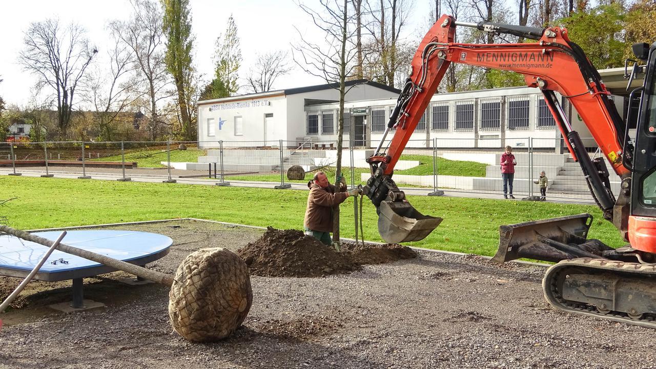 Ein Baum wird am Hausacker gepflanzt. Weitere Bäume stehen bereit.
