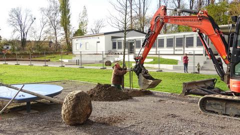 Ein Baum wird am Hausacker gepflanzt. Weitere Bäume stehen bereit.