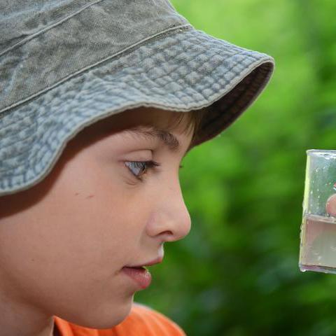 Ein Junge untersucht in einem Gefäß eine Wasserprobe