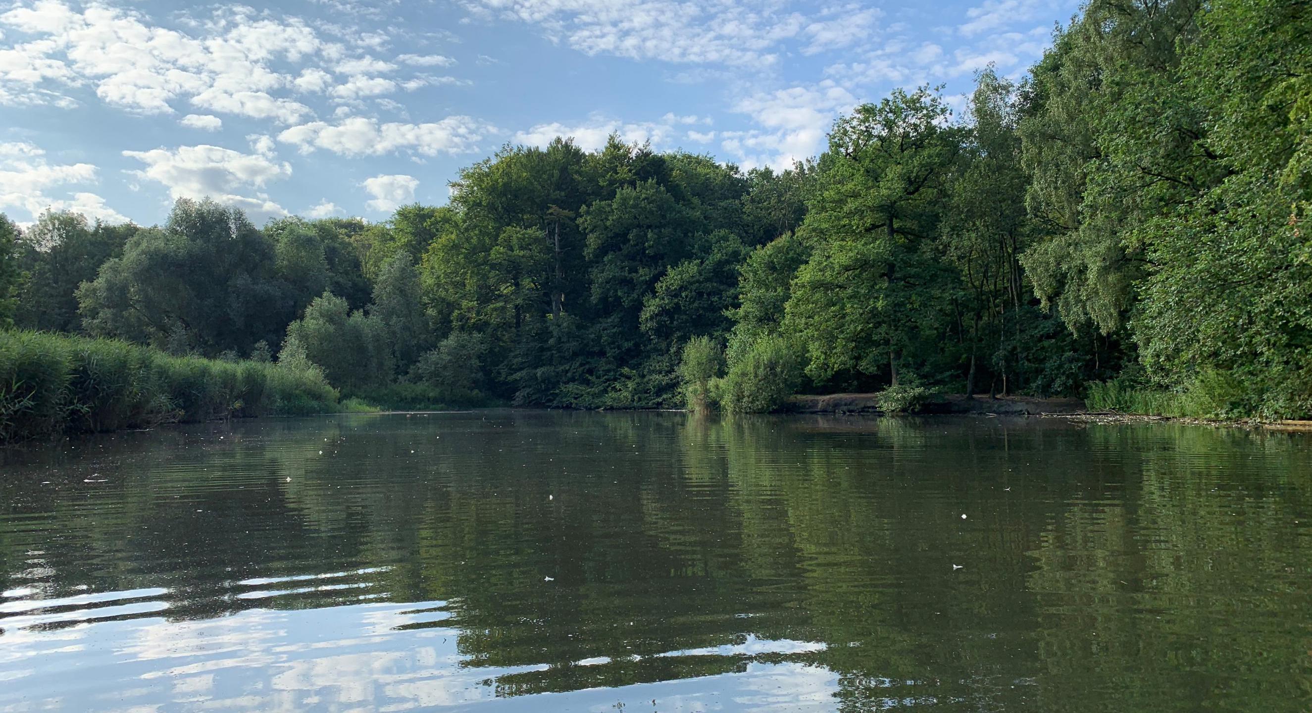 Stembergteich mit Bäumen im Hintergrund