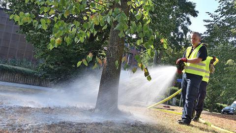 Einsatzkräfte der Bochumer Feuerwehr bewässern am 26.07.2018 Bäume auf der Universitätsstrasse, im Hintergrund das Exzenterhaus