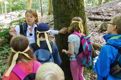 Eine Frau erklärt Kindern den Wald