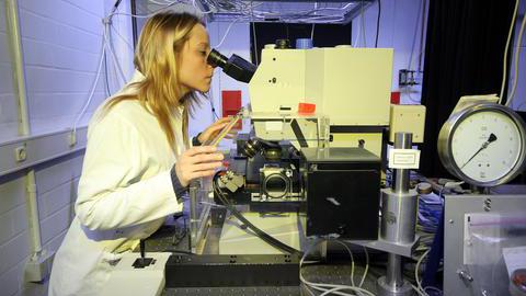Eine junge Frau forscht im Labor.