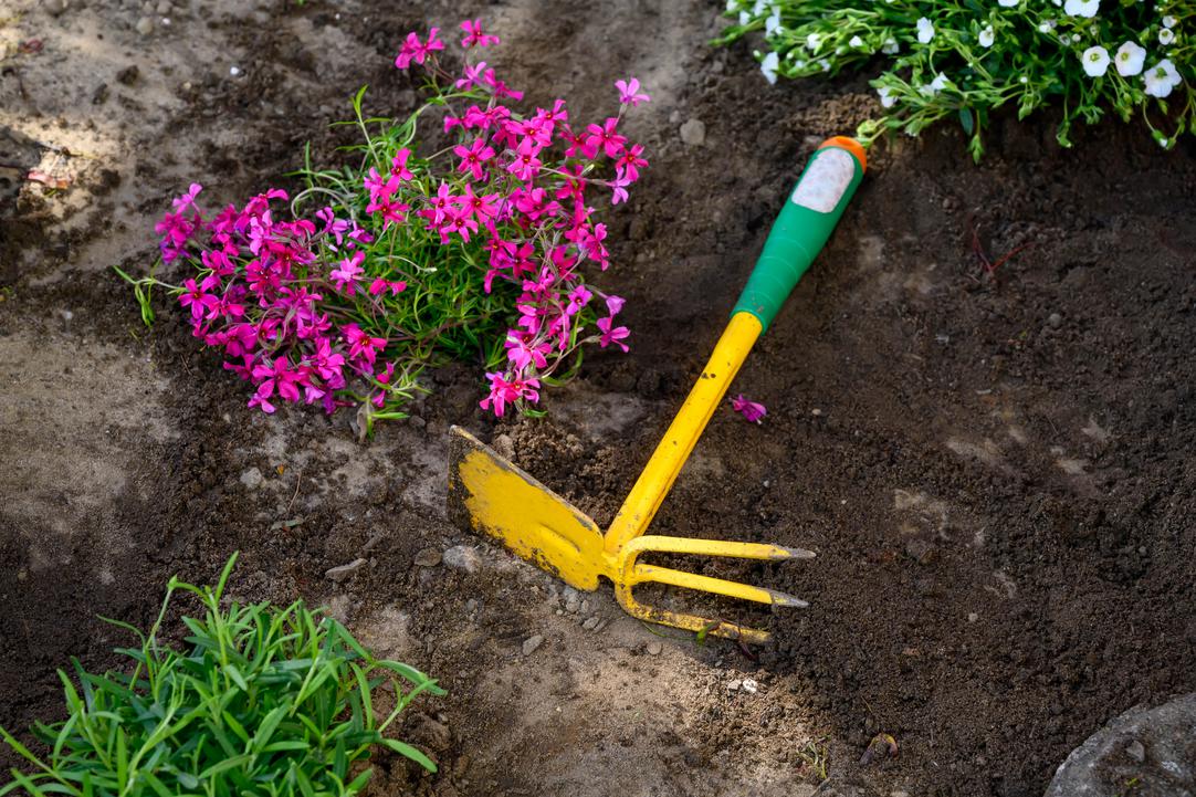Ein Blumenbeet mit einer Handharke