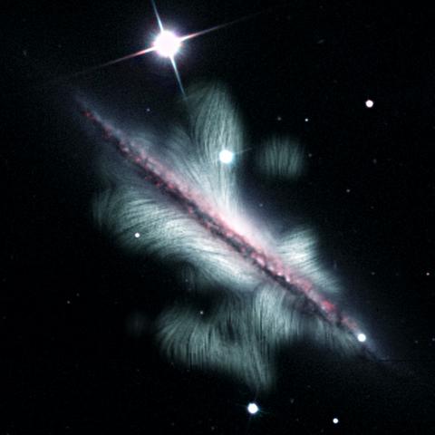 Das Magnetfeld in der Galaxie NGC 4217