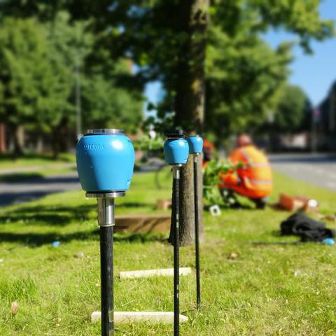 Mithilfe der installierten Bodenfeuchte-Sensoren ist es nun möglich, den Wasserbedarf von Jung- und Laubbäumen digital zu bestimmen.