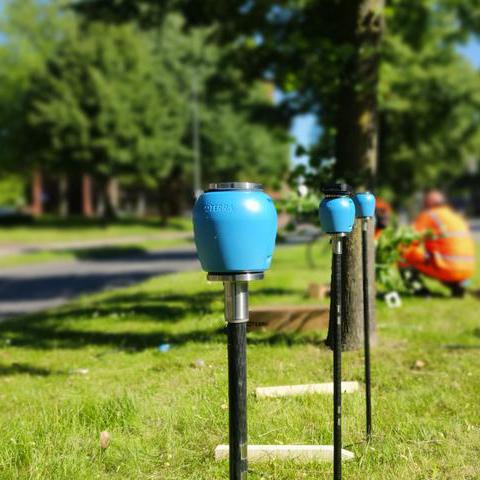 Bodenfeuchte-Sensoren bestimmen digital den Wasserbedarf von Jung- und Laubbäumen