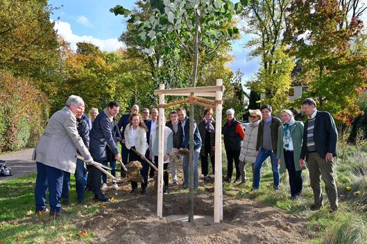 Gemeinsam mit Oberbürgermeister Thomas Eiskirch pflanzen am 25.10.2022 Rotarier in Bochum symbolisch einen von insgesamt sieben neuen Bäumen.