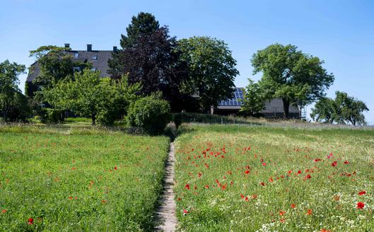 Ackerbaulich geprägte Landschaften