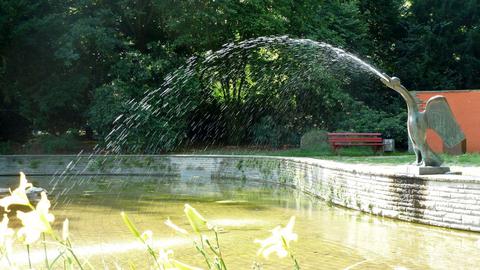 Stadtpark: Vogelbrunnen