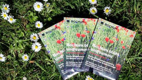 Bochum blüht und summt