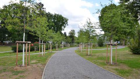 Rundgang im Park am Ehrenmal