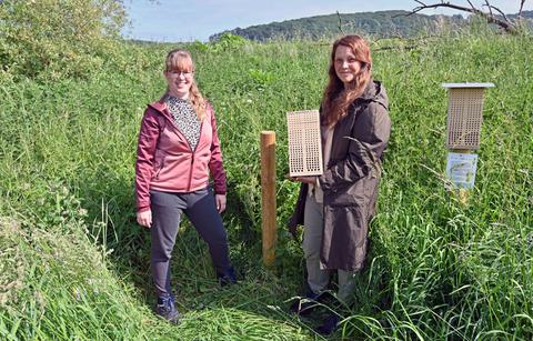 Alexandra Scharpe und Kathrin Kobialka vom Umwelt – und Grünflächenamt der Stadt Bochum bauen Nisthilfen für Wildbienen auf
