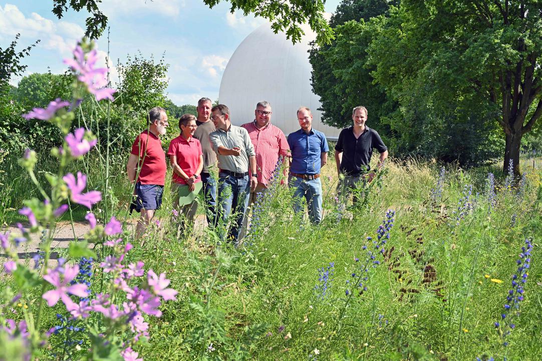 30.000 Quadratmeter neue Wildblumenwiesen in Bochumer Grünanlagen