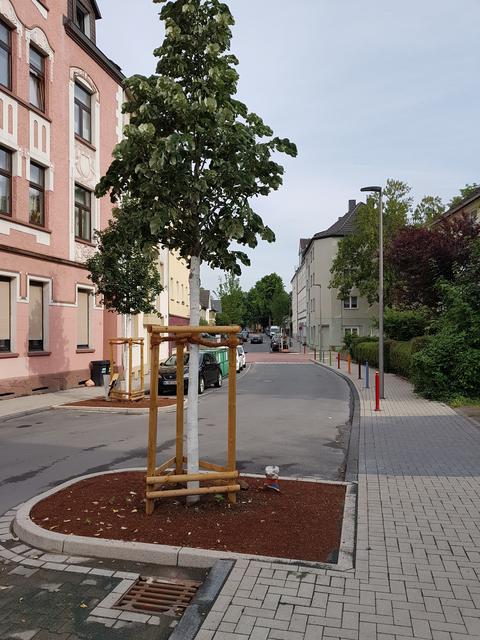 Eine Baumrigole in Goldhamme bekommt durch den Sinkkasten Wasser zugeleitet