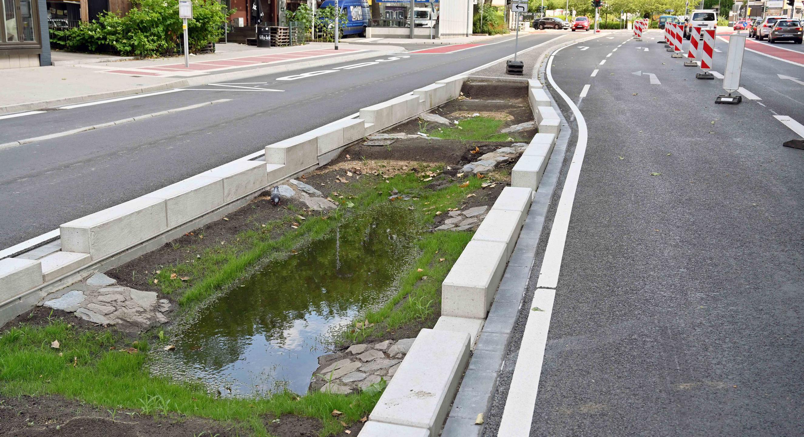 Baumrigolen an der Hattinger Straße