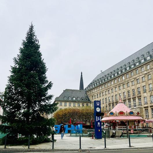 Ein Tannenbaum wird in Bochum vor dem Rathaus aufgestellt.