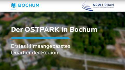 Titelbild Video Schwammstadt