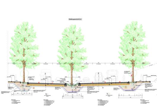 Straßenquerschnitt der Alleestraße 