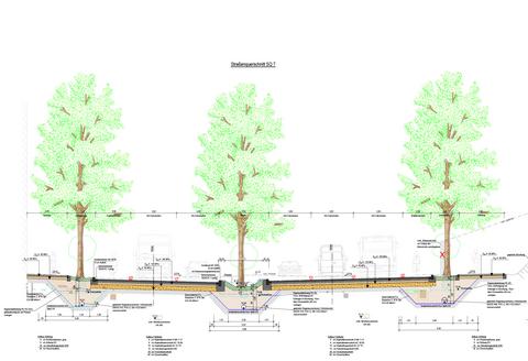 Straßenquerschnitt der Alleestraße 