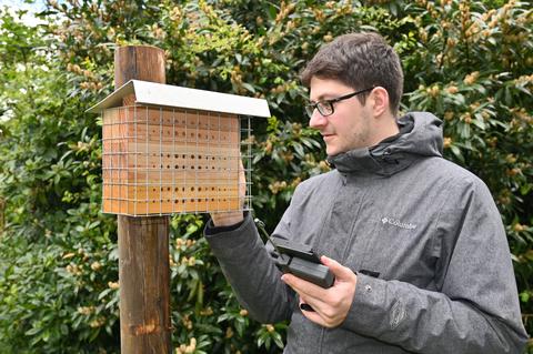 Biologiestudent Leon Muhss schaut sich einen Nistkasten für Insekten an