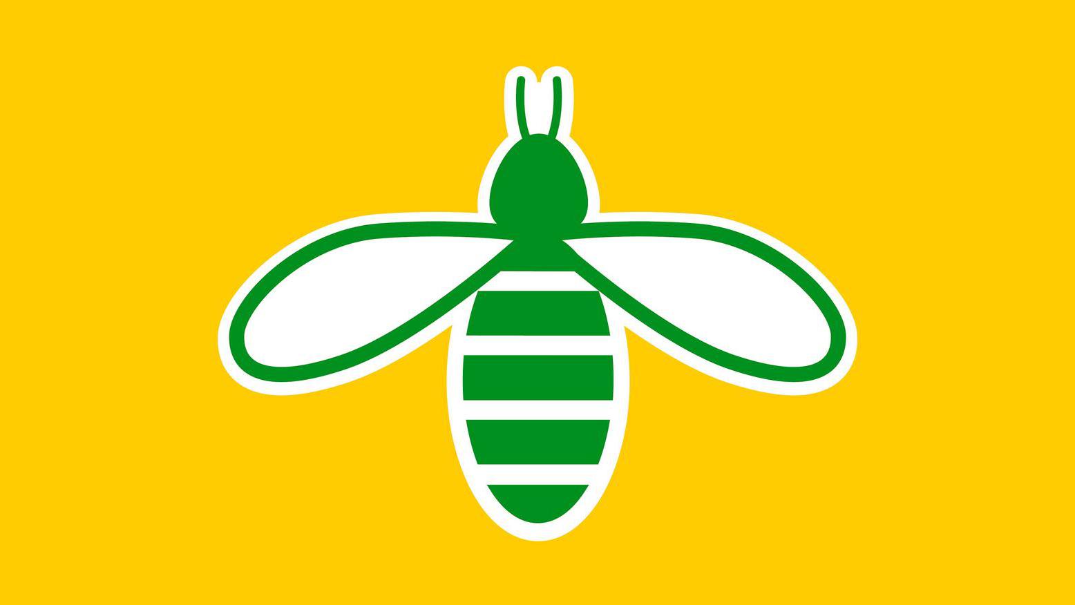 weißes Icon Biene auf farbigem Hintergrund, als Symbol u.a. für Umweltschutz stehend