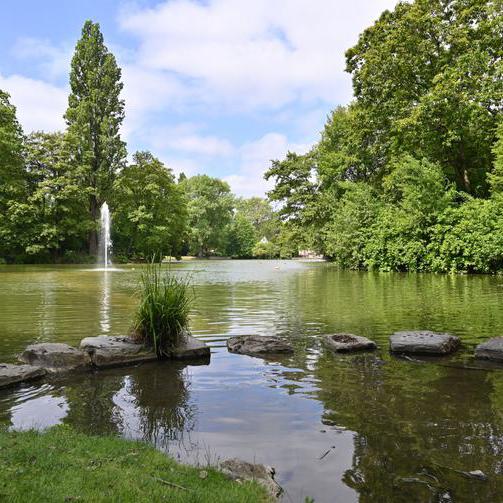 Blick auf den Stadtparkteich.