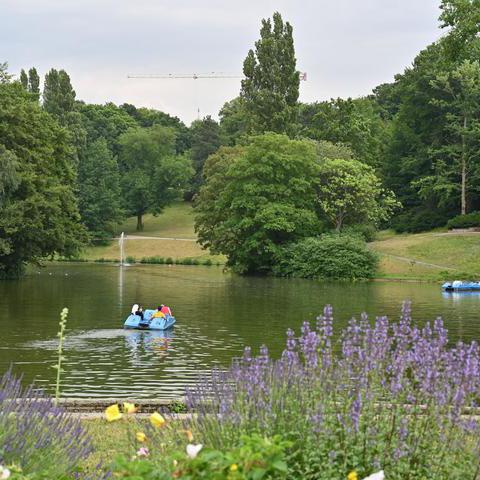 Blick auf den Teich mit Tretboten.