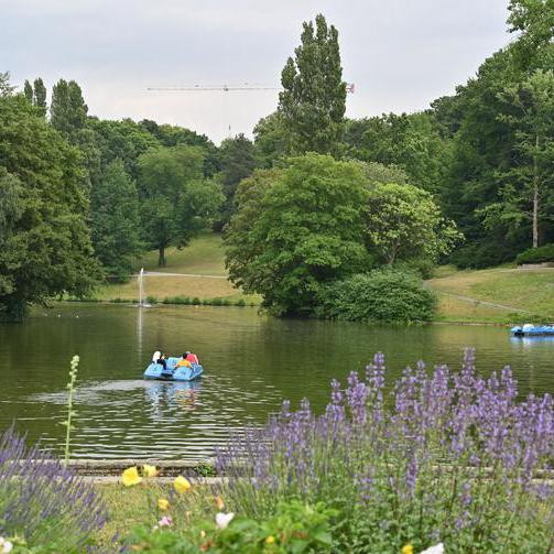 Blick auf den Teich mit Tretboten.