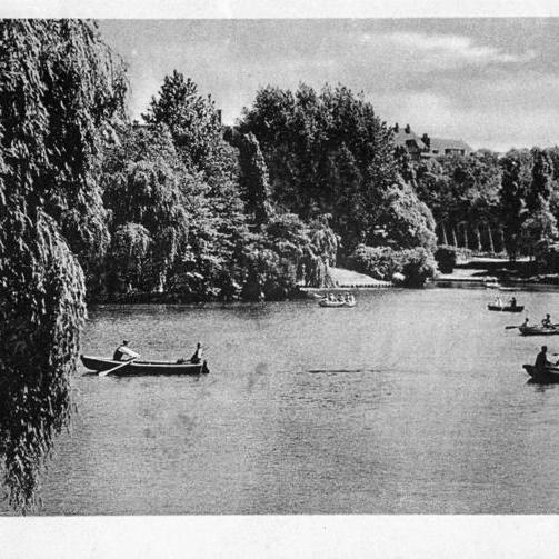 Ein See mit kleinen Booten umgeben von Bäumen.