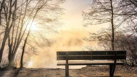 Bank in der Sonne